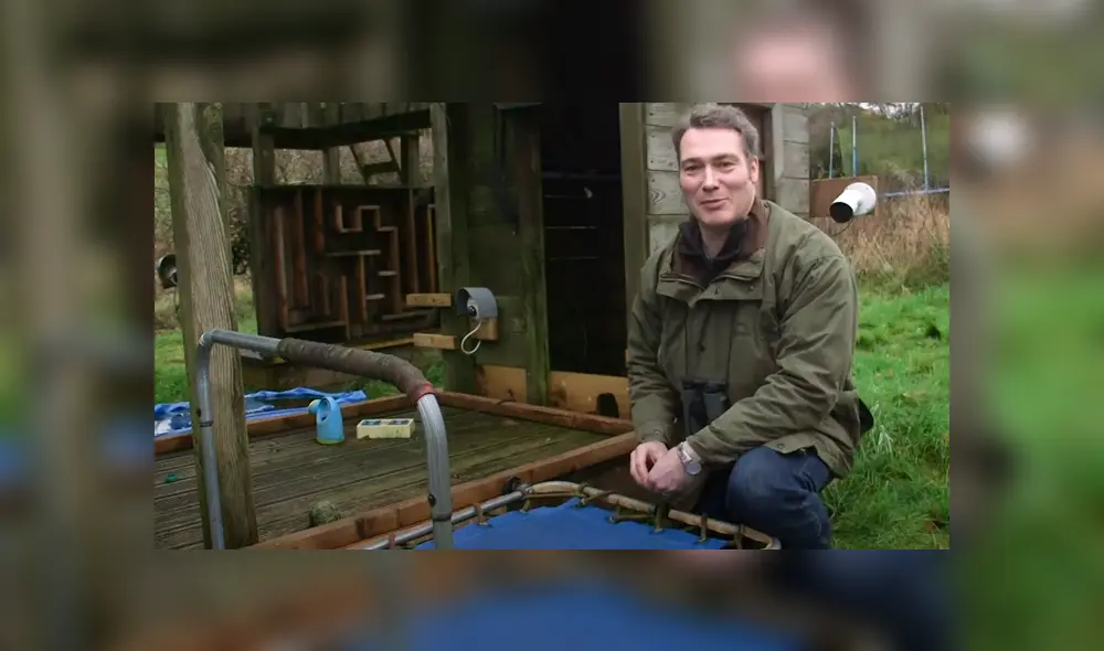 Desliza la imagen para ver a todos los animales que se apoderaron del lugar. Foto: Newsflare/YouTube