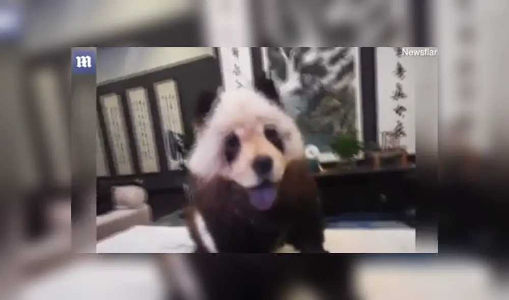 Desliza para ver los detalles de esta historia que se volvió viral en Facebook. Foto: Captura.