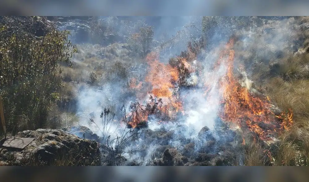 Controlan incendios forestales en Áncash. Foto: Andina.