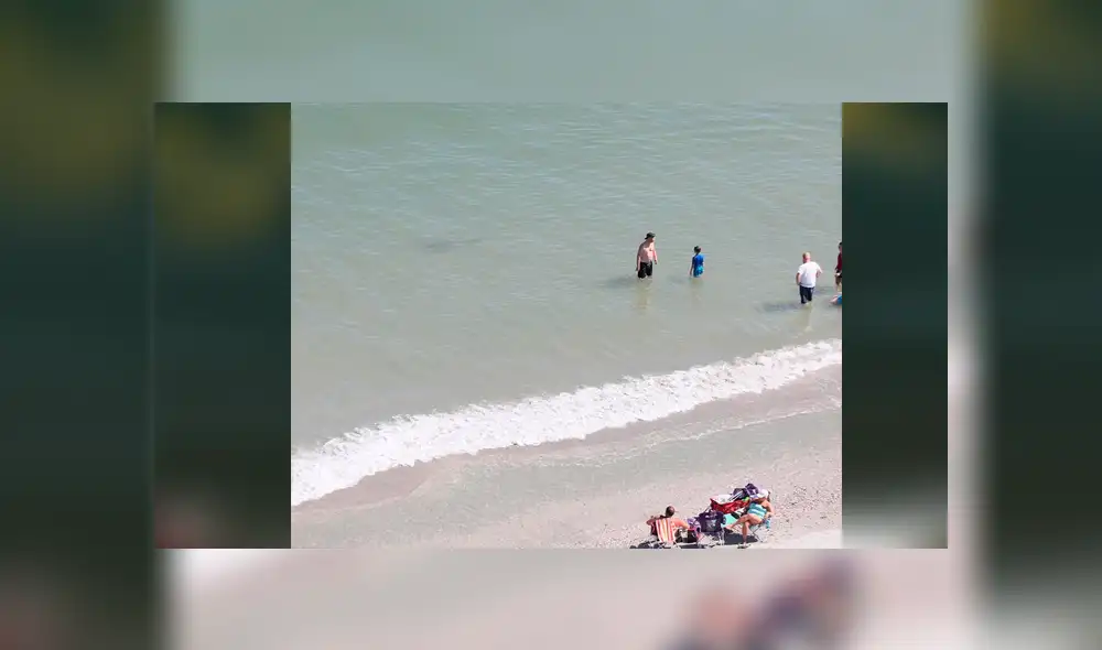 Bañistas quedan aterrados al notar la presencia de un tiburón. Foto: Captura.