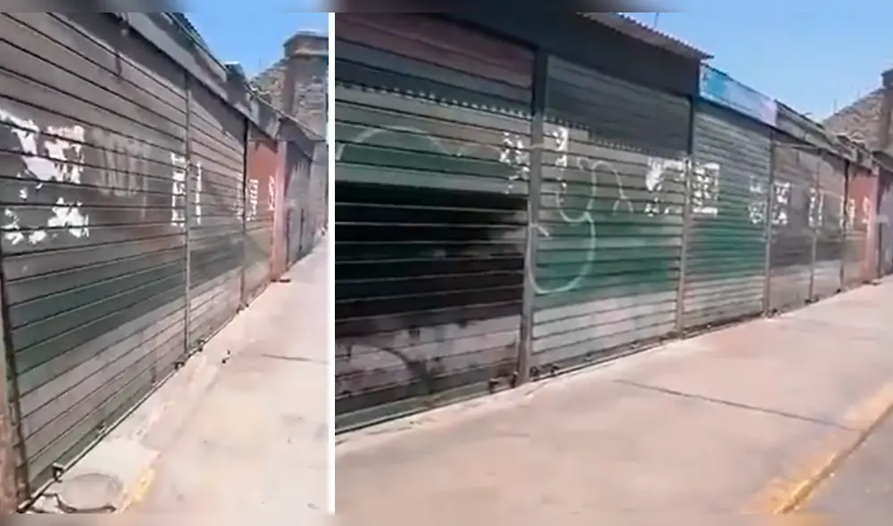 Maltrato animal en cuarentena por coronavirus. Maltrato animal en cuarentena por coronavirus.