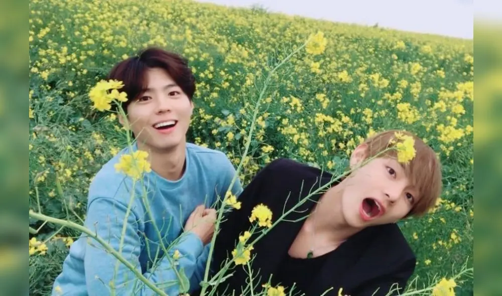Park Bo Gum, Taehyung V BTS, Record of youth