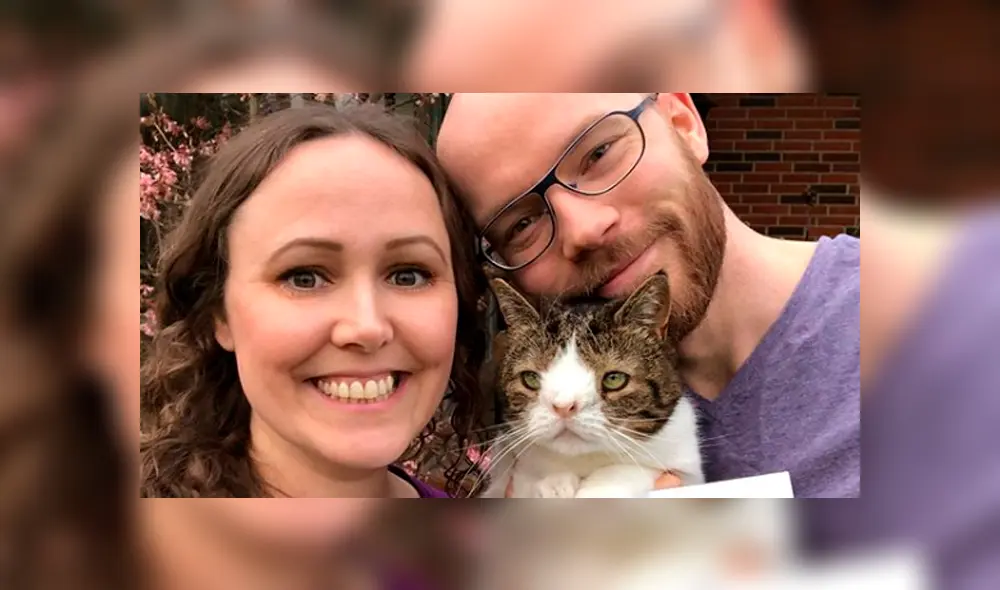 Instagram: miles de usuarios conmovidos con la historia de tierno gato con síndrome de Down [FOTOS] 