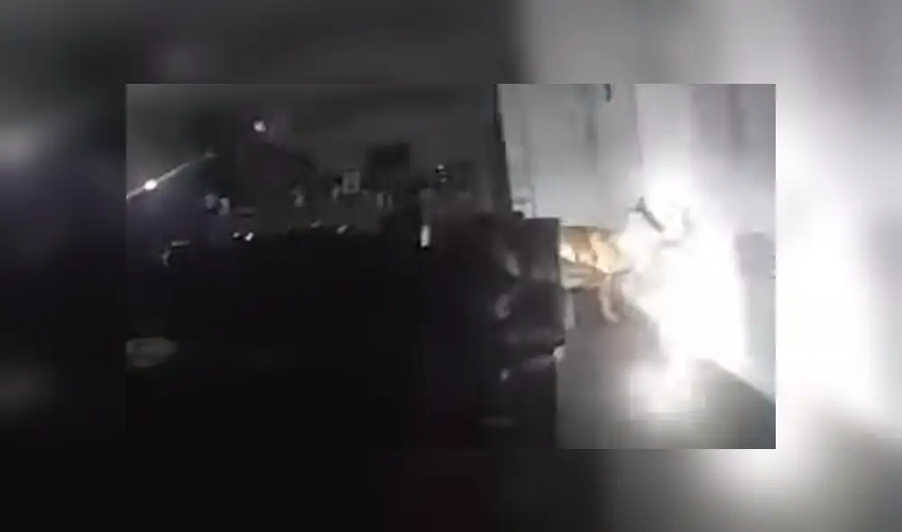 YouTube viral: Chica oye extraños ruidos, llama a policías y descubren misteriosa criatura [VIDEO]