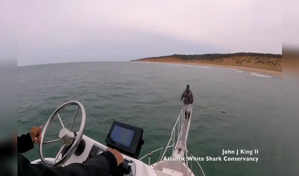 YouTube viral: pescaba tranquilamente y tiburón blanco casi se lo come [VIDEO]