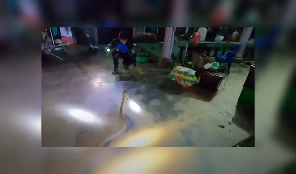 Desliza hacia la izquierda para ver las imágenes del viral de Facebook. Desliza hacia la izquierda para ver las imágenes del viral de Facebook.