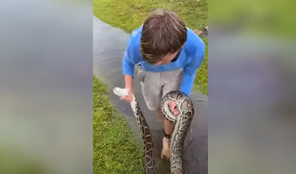 Desliza hacia la izquierda para ver las imágenes del viral de Facebook. Foto: ViralHog.