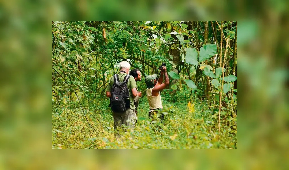 Parque Nacional Cerros de Amotape:  un oasis lleno de vida