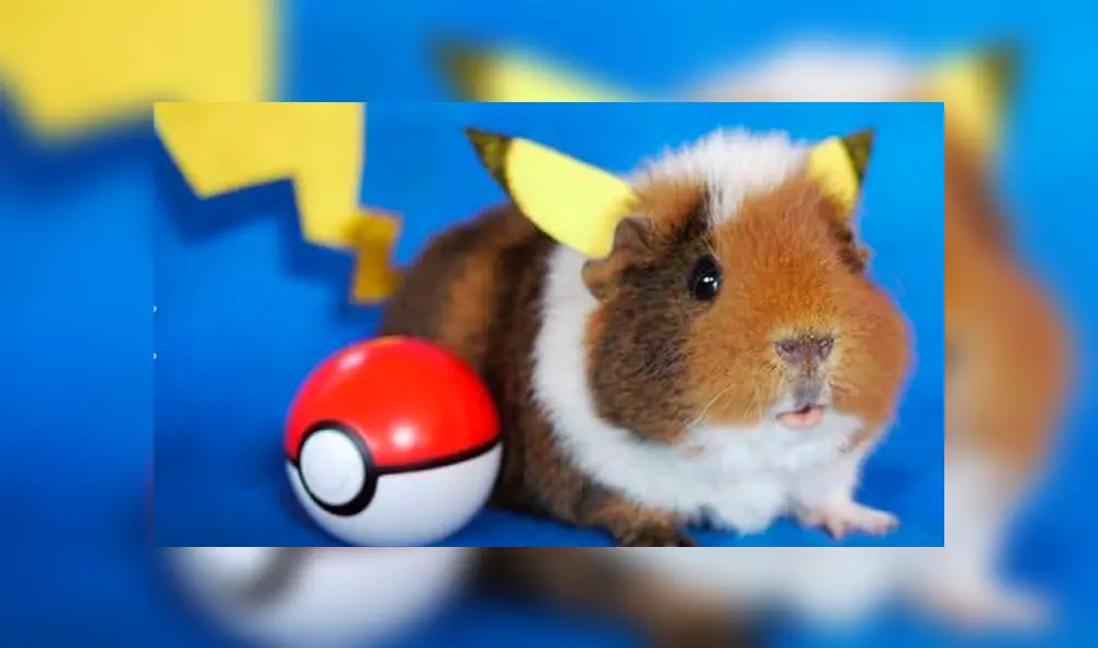 Facebook viral: cuy peruano se vuelve ‘cosplayer' y desata furor en redes sociales [FOTOS]