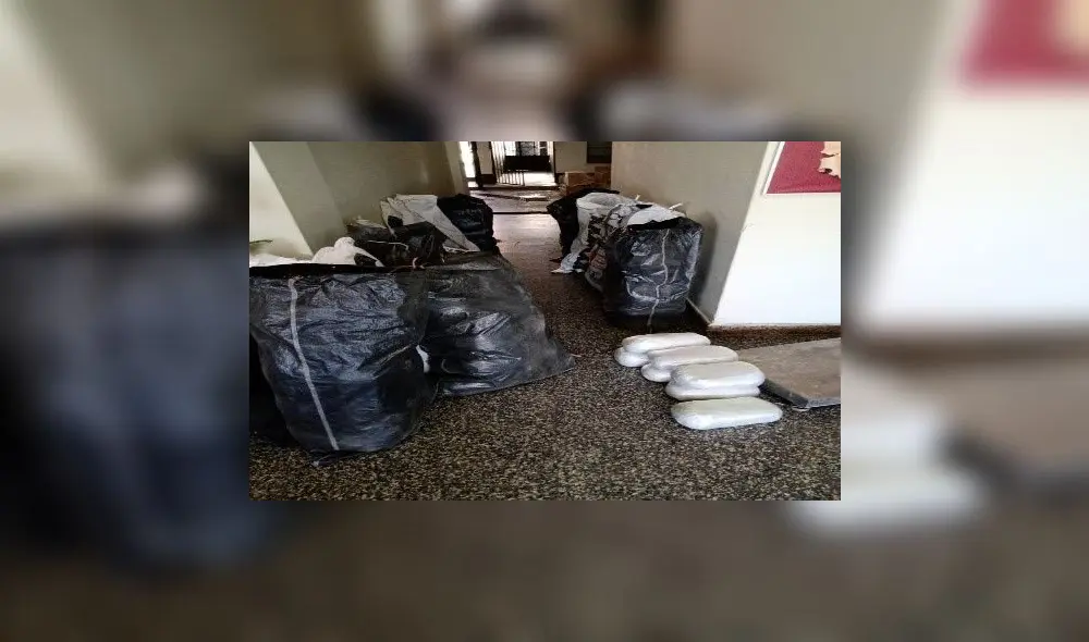 Más de 200 kilos de marihuana fueron encontrados en casa abandonada. Más de 200 kilos de marihuana fueron encontrados en casa abandonada.