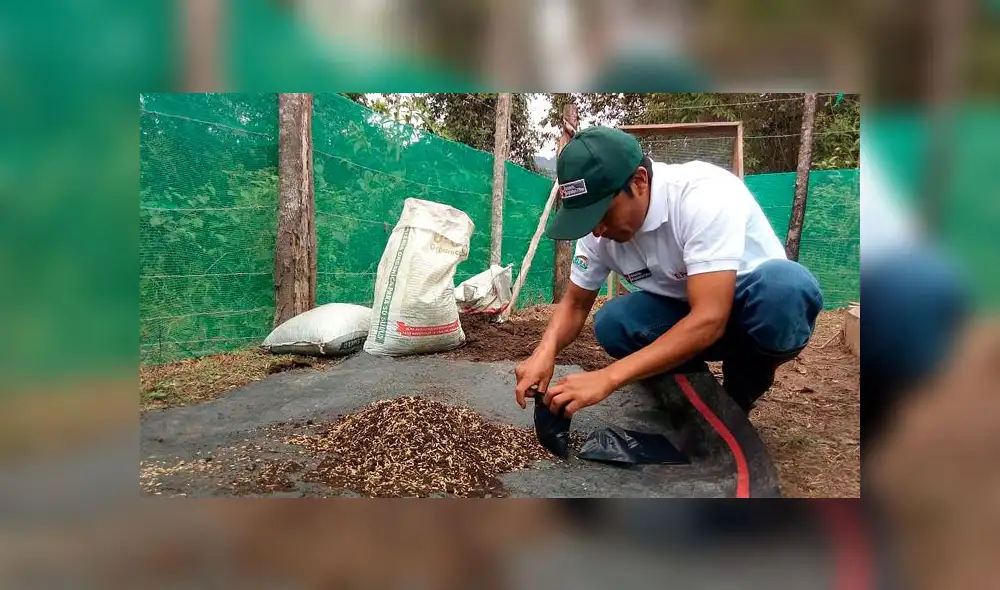 Moyobamba: ejecutan proceso de evaluación para certificar a productores de café Moyobamba: ejecutan proceso de evaluación para certificar a productores de café