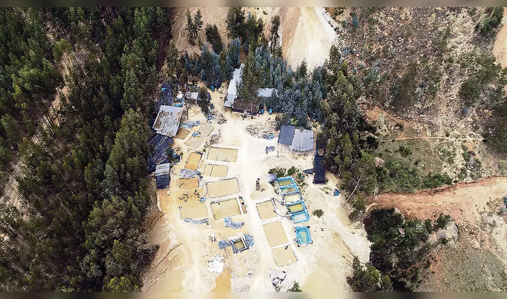 Muerte. Pozas de cianuro destruyen ecología y la salud de la gente. Muerte. Pozas de cianuro destruyen ecología y la salud de la gente.