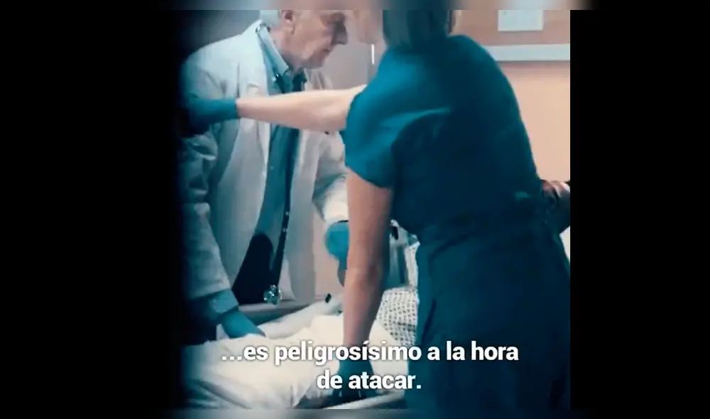 Coronavirus en Argentina: AFA publica video emotivo con Messi y Maradona para combatir la pandemia de COVID-19.