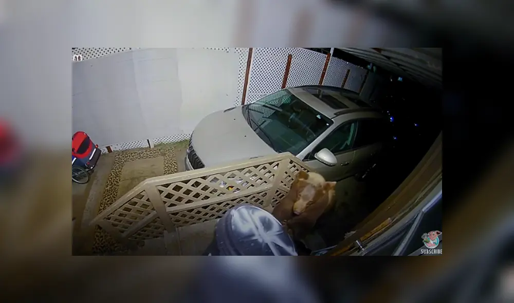 Desliza hacia la izquierda para ver las imágenes del viral de Facebook. Foto: Captura.