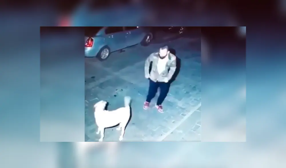 Desliza para ver el desenlace de este video viral publicado en Facebook. Foto: Captura.