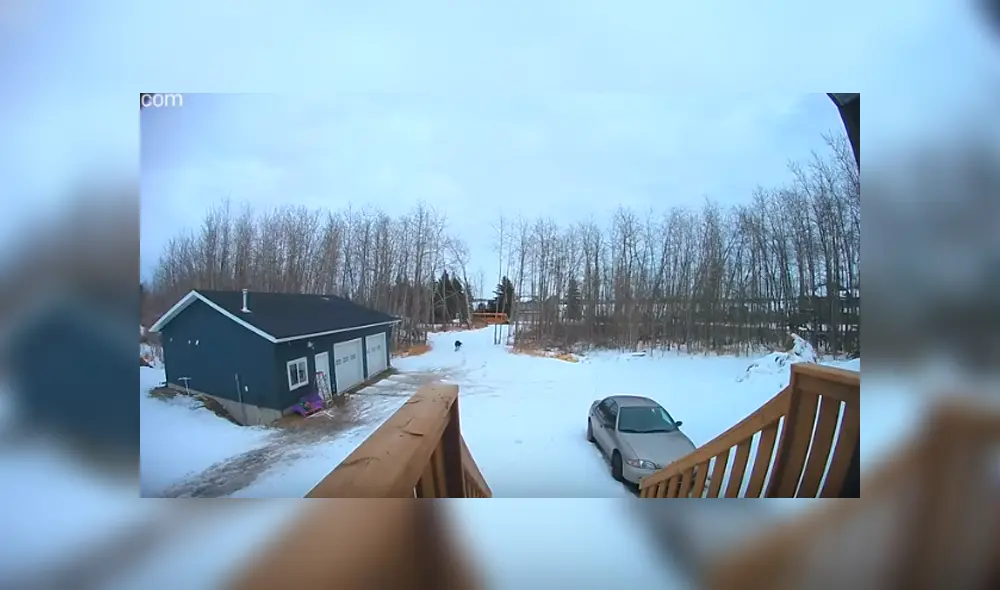 Desliza hacia al izquierda para ver el blooper que cometió un joven estudiante. Imágenes de YouTube.