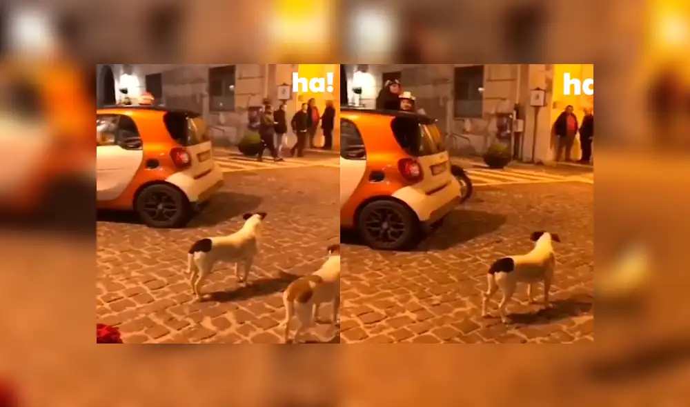 Desliza a la izquierda para ver este nuevo viral de Facebook. Foto: Captura. Desliza a la izquierda para ver este nuevo viral de Facebook. Foto: Captura.