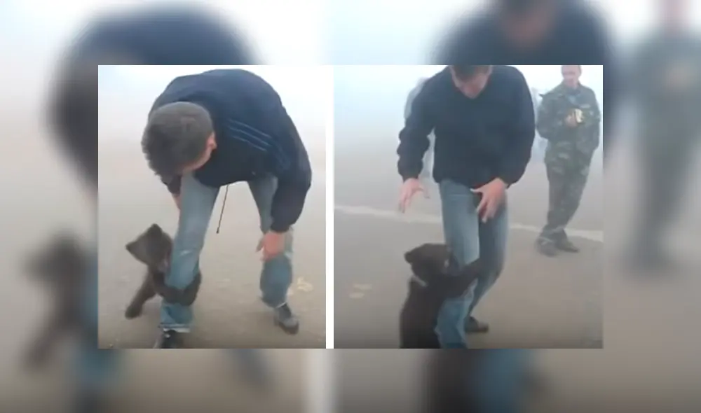 Video es viral en Facebook. El pequeño animal se aferró a la pierna del hombre que lo rescató y protagonizó una conmovedora escena Video es viral en Facebook. El pequeño animal se aferró a la pierna del hombre que lo rescató y protagonizó una conmovedora escena