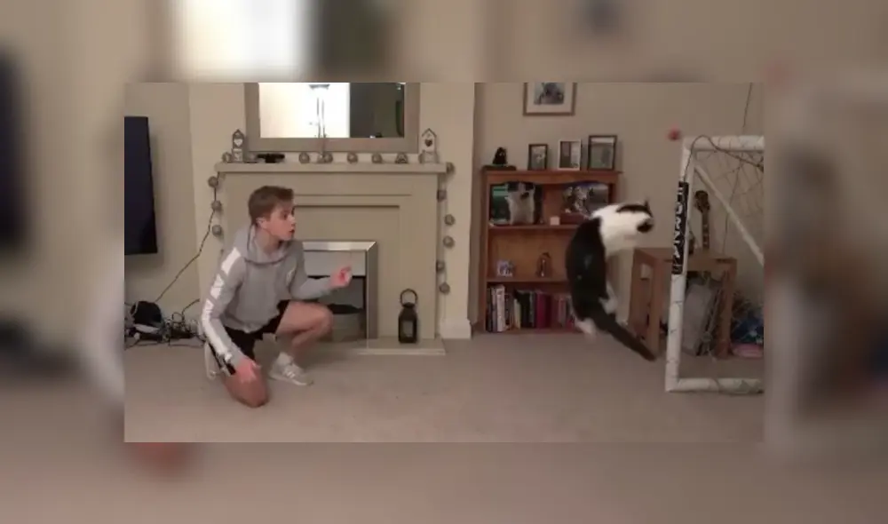 Desliza para ver los detalles del video viral publicado en TikTok. Foto: Captura. Desliza para ver los detalles del video viral publicado en TikTok. Foto: Captura.