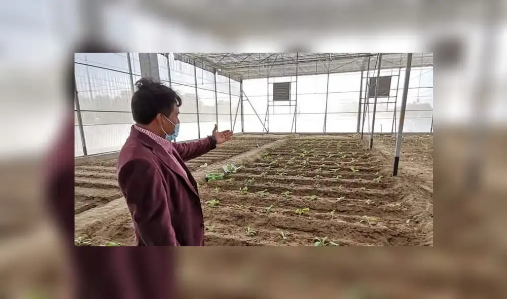 Sechura exportará frutas y verduras a otros países.