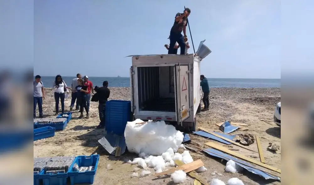 Hallan cargamento de cocaína en camión frigorífico y capturan a cuatro narcos