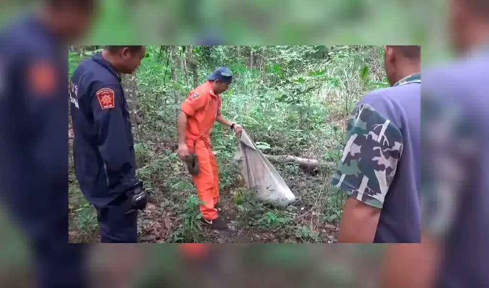 Un video viral de YouTube registró el escalofriante hallazgo y rescate de una serpiente que vivía con miles de cucarachas debajo de un enorme bloque de cemento. Un video viral de YouTube registró el escalofriante hallazgo y rescate de una serpiente que vivía con miles de cucarachas debajo de un enorme bloque de cemento.