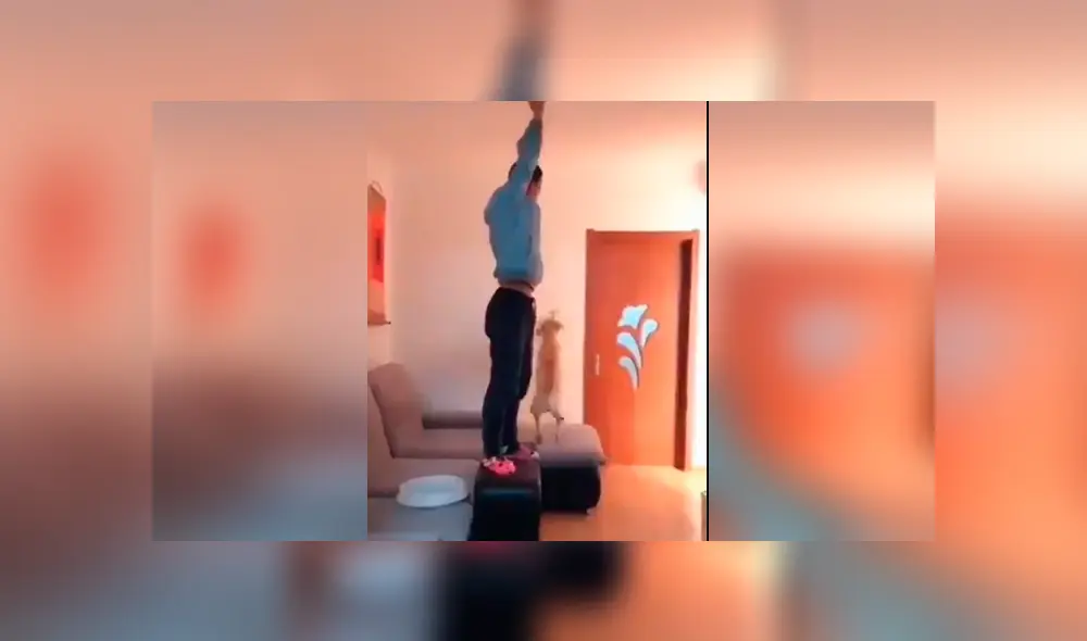 Video es viral en Facebook. El can sorprendió a más de uno al obedecer cada una de las órdenes de su dueño y permanecer con él hasta que haya terminado Video es viral en Facebook. El can sorprendió a más de uno al obedecer cada una de las órdenes de su dueño y permanecer con él hasta que haya terminado