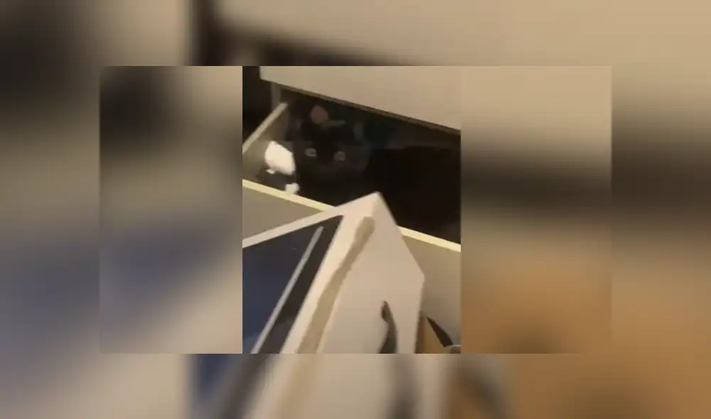 Desliza hacia la izquierda para ver las imágenes del viral de Facebook. Foto: Captura. Desliza hacia la izquierda para ver las imágenes del viral de Facebook. Foto: Captura.