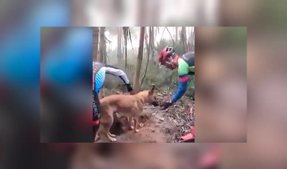 YouTube viral: ciclista detiene su recorrido para rescatar a perro atado a un árbol [VIDEO]