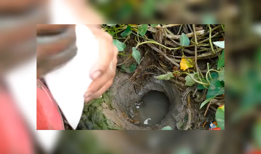 Desliza hacia la izquierda para ver el experimento con Coca Cola que se ha vuelto viral en YouTube. Desliza hacia la izquierda para ver el experimento con Coca Cola que se ha vuelto viral en YouTube.