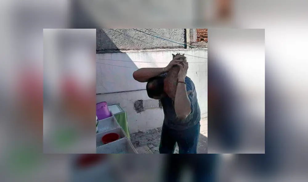 Desliza para ver el desenlace de esta historia de Facebook. Foto: Captura. Desliza para ver el desenlace de esta historia de Facebook. Foto: Captura.