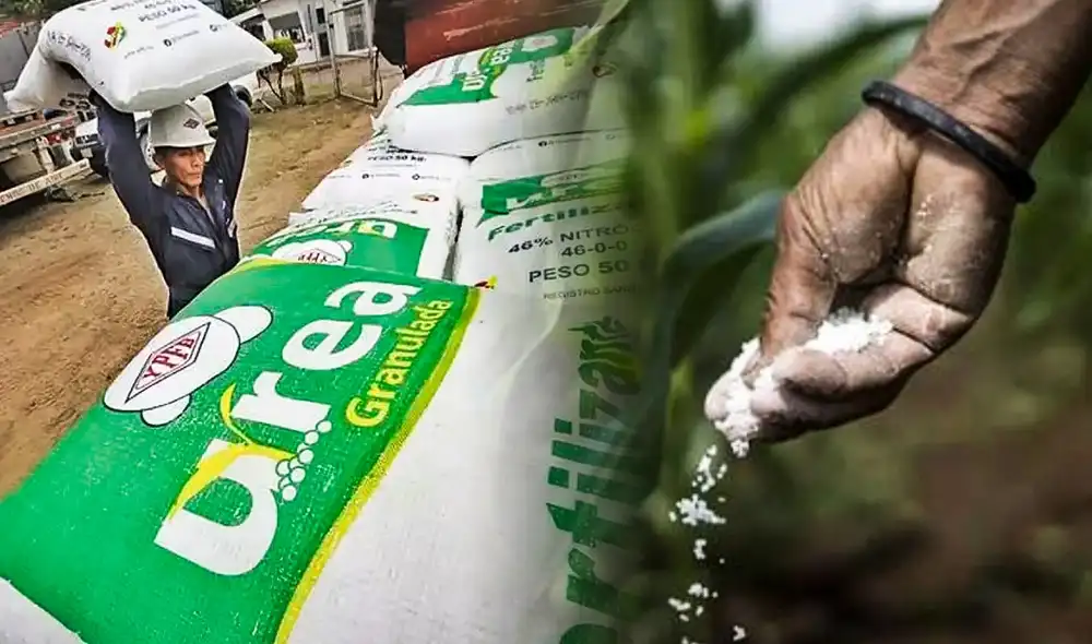 Fertilizantes son cruciales para la campaña agrícola, pero el Estado ha fracasado en los procesos de compra. Composición: LR Fertilizantes son cruciales para la campaña agrícola, pero el Estado ha fracasado en los procesos de compra. Composición: LR