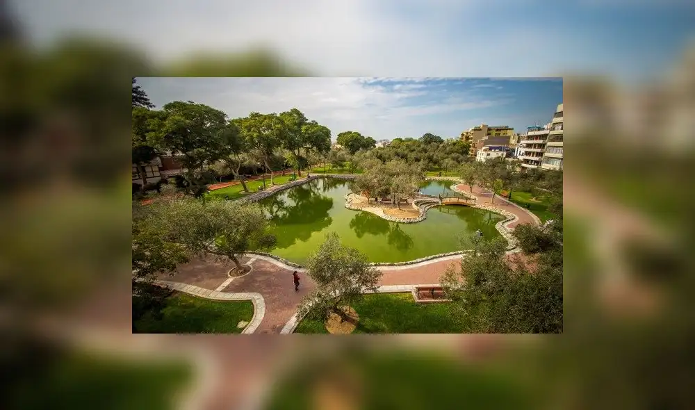 San Isidro: Bosque El Olivar es declarado área de conservación ambiental San Isidro: Bosque El Olivar es declarado área de conservación ambiental