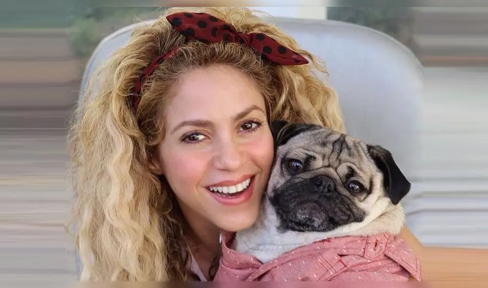 Shakira ya no es rubia luego de casi 20 años Shakira ya no es rubia luego de casi 20 años