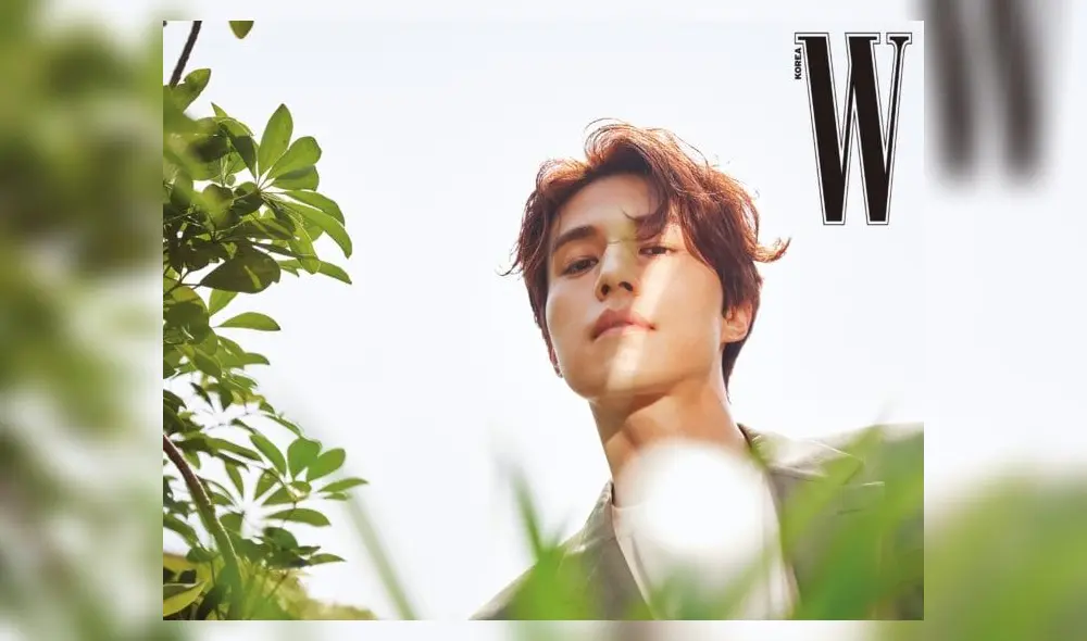 Lee Dong Wook, W Korea, Goblin