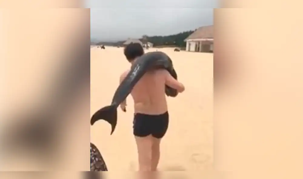 China: captan a turista llevándose delfín al hombro y ahora es buscado [VIDEO]