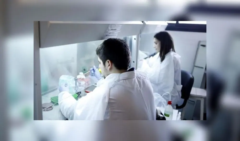 concytec-tumbes concytec-tumbes