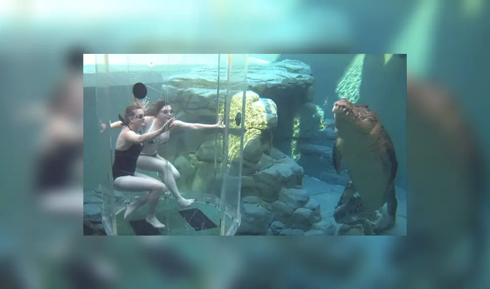 YouTube viral: chicas se sumergen en santuario de enorme cocodrilo y quedan horrorizadas 