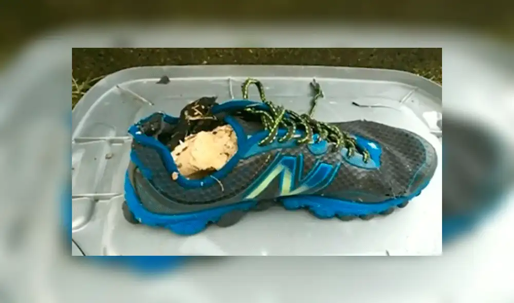 Misterio en EE.UU.: aparecen pies mutilados en distintos pueblos Misterio en EE.UU.: aparecen pies mutilados en distintos pueblos