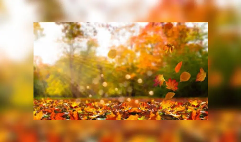 Equinoccio de otoño, Google