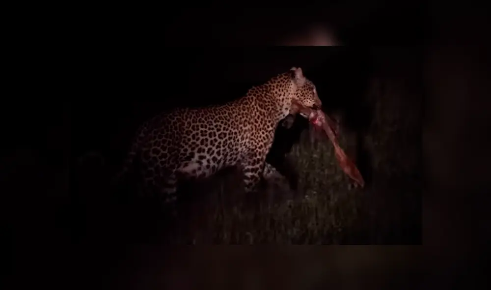 Desliza para ver los detalles del video viral publicado en YouTube. Foto: Captura. Desliza para ver los detalles del video viral publicado en YouTube. Foto: Captura.