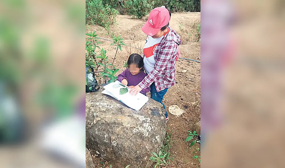 Casos. Desde marzo, no acceden a Aprendo en casa. Los vecinos de Pillo dicen que el COVID-19 aún no ha llegado. Casos. Desde marzo, no acceden a Aprendo en casa. Los vecinos de Pillo dicen que el COVID-19 aún no ha llegado.