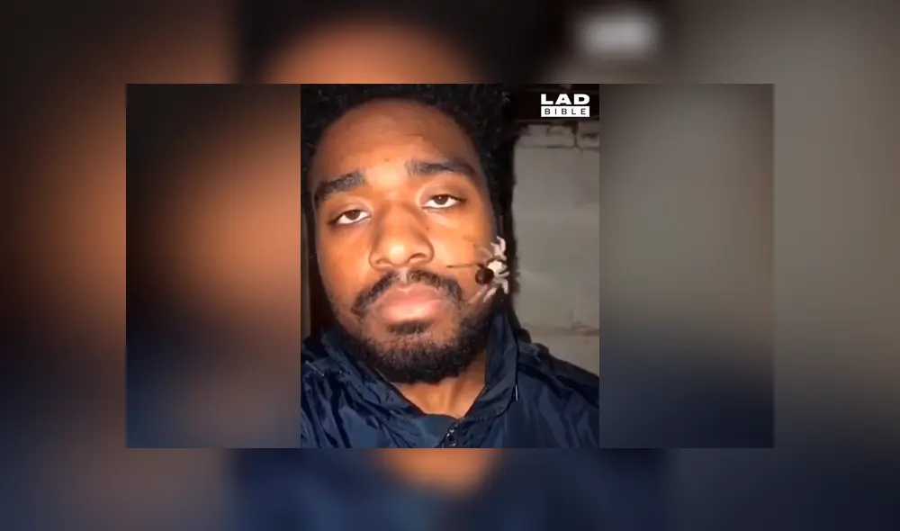 Chico abre la boca y expulsa venenosa criatura en plena transmisión en vivo [VIDEO]