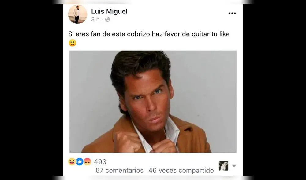 Facebook: Hackers se burlan de Luis Miguel con curiosos memes [FOTOS]