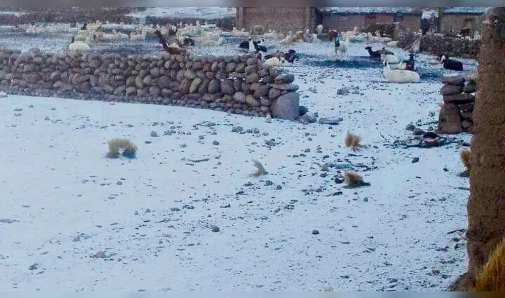 Distrito andino de Susapaya. Distrito andino de Susapaya.