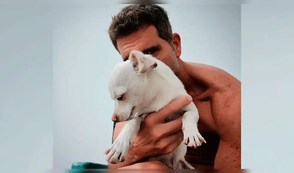 Christian Meier emociona a Karina Calmet con un tuit, pero decepciona a fans Christian Meier emociona a Karina Calmet con un tuit, pero decepciona a fans