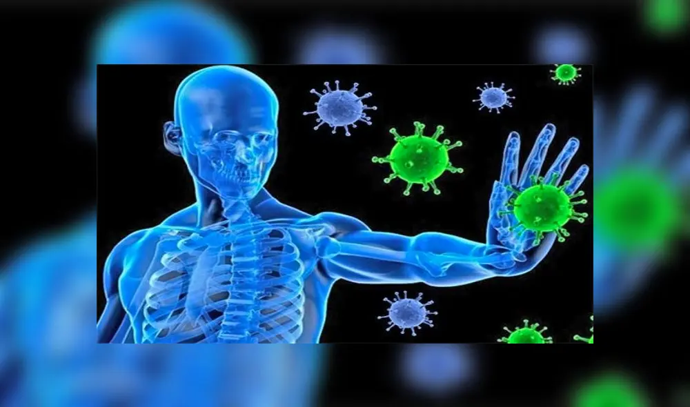 Coronavirus: diez alimentos naturales para fortalecer tu sistema inmunológico