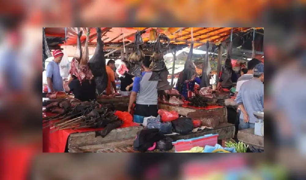 Murciélagos en venta en mercado asiático. Foto: UC DAVIS Murciélagos en venta en mercado asiático. Foto: UC DAVIS