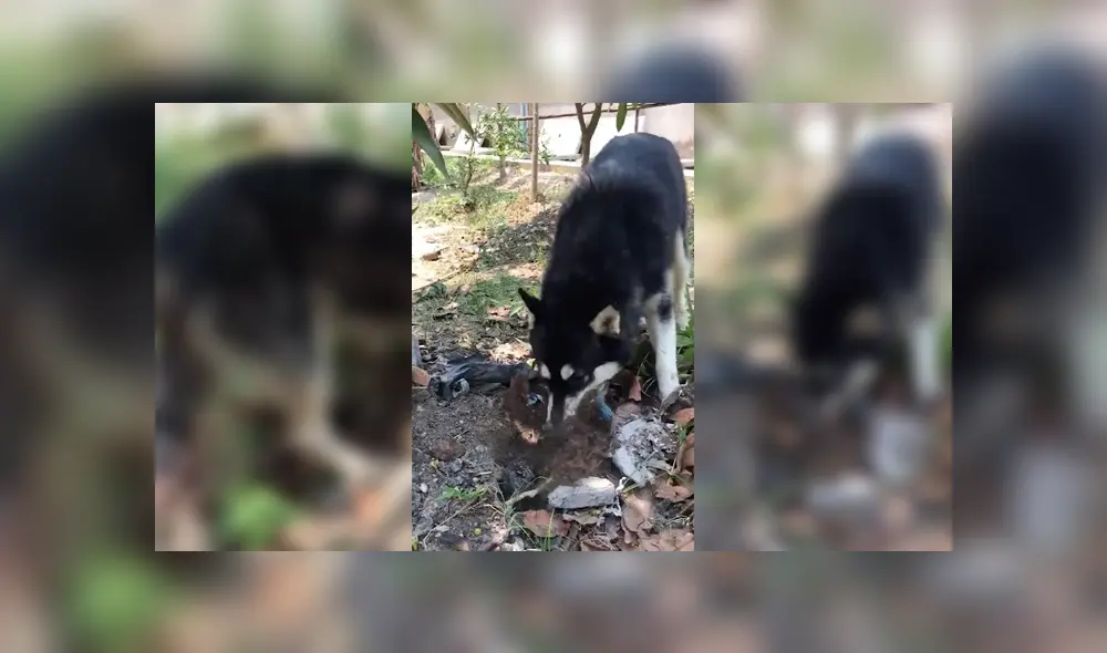 Desliza para ver los detalles del video viral publicado en YouTube. Foto: Captura. Desliza para ver los detalles del video viral publicado en YouTube. Foto: Captura.