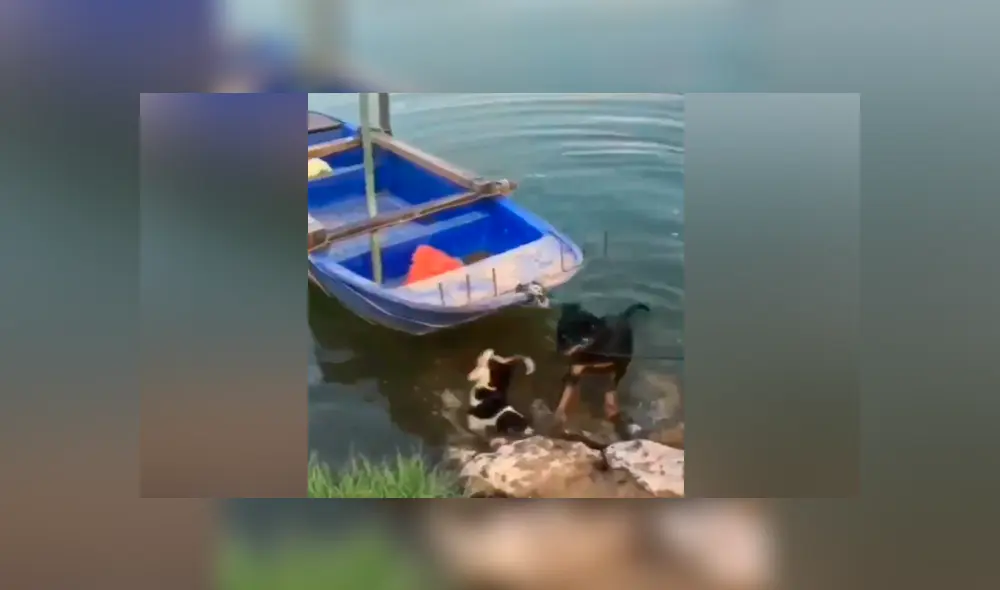 Desliza para ver los momentos más emotivos del video que se hizo viral en Facebook.